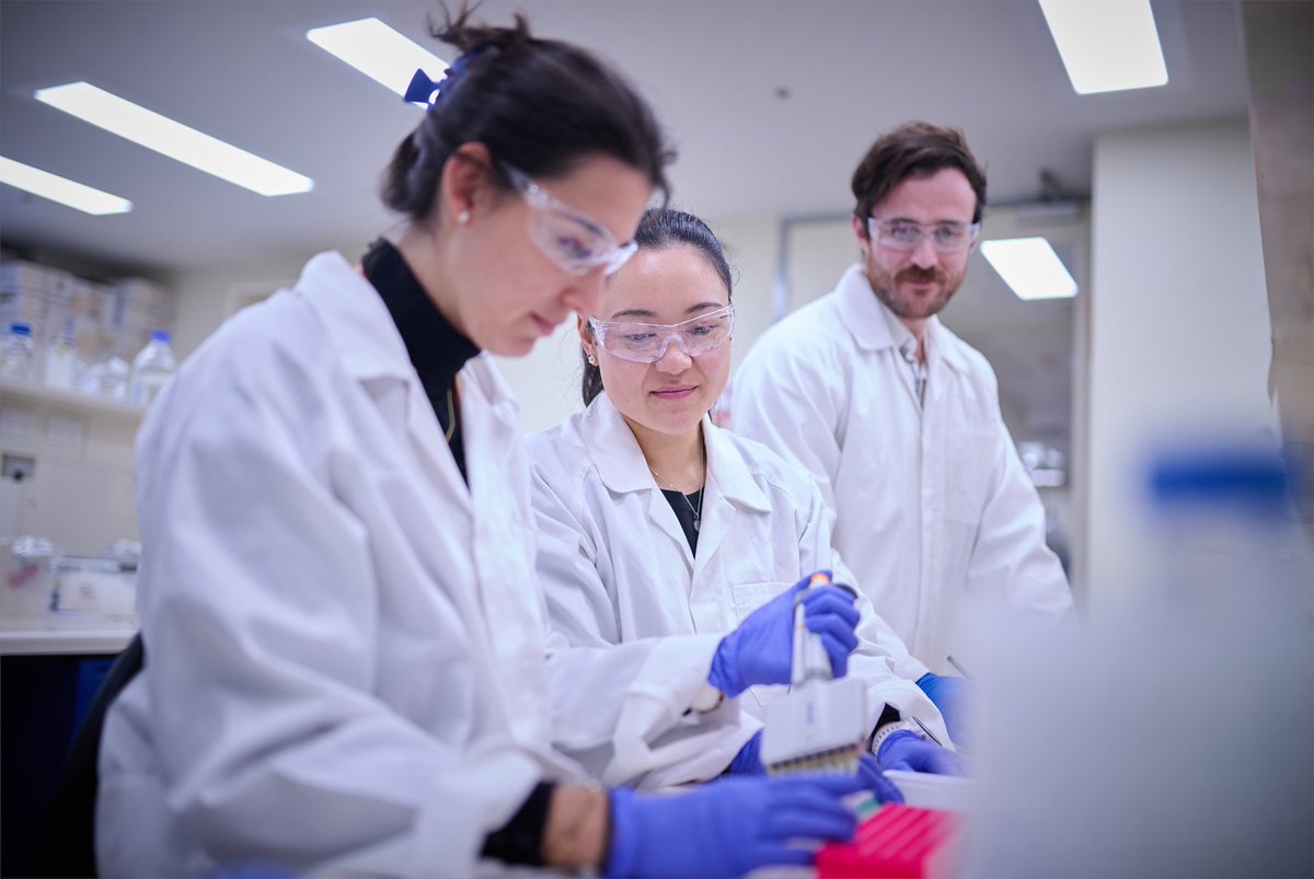 BakerResearchAu's tweet photo. Applications are open for our paid vacation internship program. Up to 6 weeks embedded in a Baker Institute research lab, $500/week, mentorship from experienced researchers. Open to later-year undergrads and recent grads. Closes 11 Oct: https://t.co/9uAdEiZHbP https://t.co/dPsibE9whk