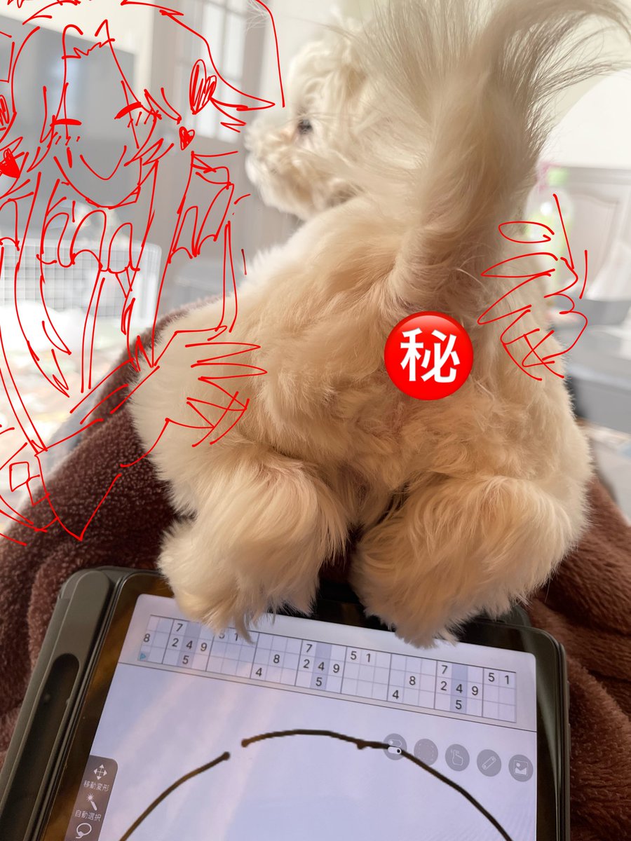 roze_desu's tweet photo. https://t.co/s1igZMxywz