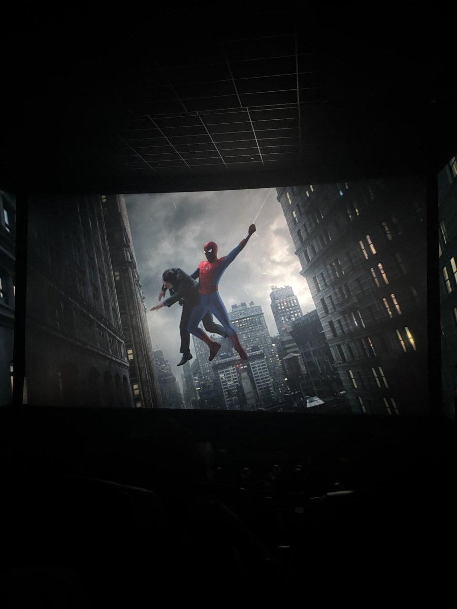 dessemver's tweet photo. brand new day gotta be the best spiderman movie ISTFG😭😭😭 https://t.co/IdnCsxYUuK