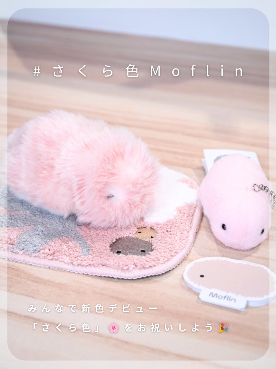 casio_moflin's tweet photo. ＼新色「さくら色」をお祝いしよう🎉／
誕生のお祝いに、タイムラインをピンクでいっぱいにしませんか？
あなたのMoflinとピンク🌸を撮って投稿して下さい😊

▼参加方法
#さくら色Moflin を付けて
あなたのペンネーム、Moflinのお名前、メッセージ等も入れてくださいね☺️
2026/8/3～8/16まで

↓続き https://t.co/hKVGwtzgNp