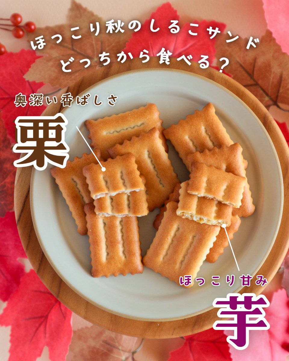 Twshirukosand's tweet photo. ＼🍁秋のしるこサンド 本日発売！🧺／

🍠ほっこり甘みの『しるこサンドさつまいも』
🌰奥深い香ばしさの『しるこサンド栗』

どっちを食べてみたいか
コメントで教えてください！🌰🍠

▼ 商品詳細はツリーをチェック ▼ https://t.co/BvMSeID7Dt