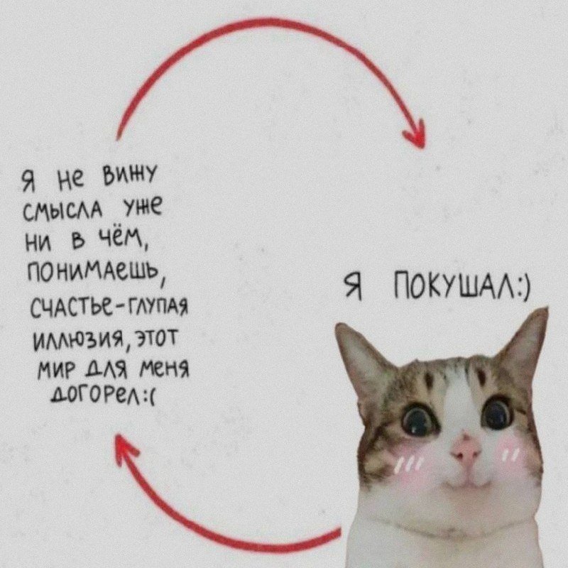 IstinaJedna's tweet photo. https://t.co/H8EOYkDBfC