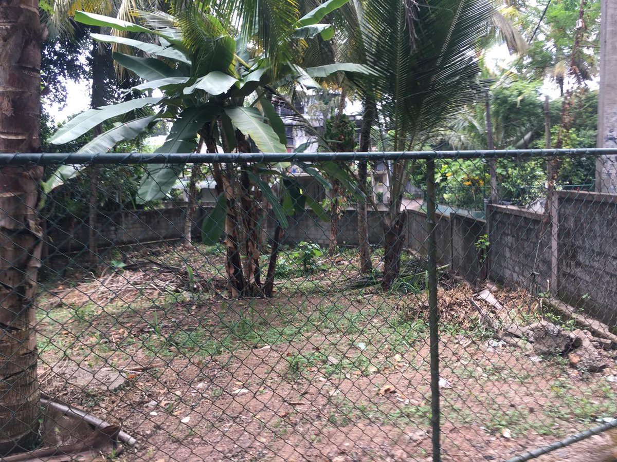 RB_Realtors's tweet photo. Land for Sale in Hokandara 

- 21p bare land
• ⁠Clear deeds 
• ⁠Parakrama mawatha, 100 meters to Wanaguru mawatha.

Price: 2 Million per perch (negotiable)

Please call: 071 664 3075 https://t.co/sR7VSXN1Rd