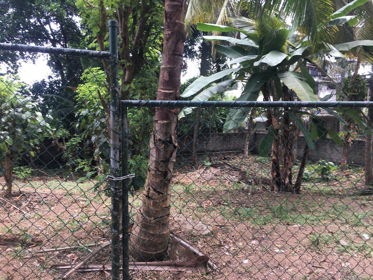 RB_Realtors's tweet photo. Land for Sale in Hokandara 

- 21p bare land
• ⁠Clear deeds 
• ⁠Parakrama mawatha, 100 meters to Wanaguru mawatha.

Price: 2 Million per perch (negotiable)

Please call: 071 664 3075 https://t.co/sR7VSXN1Rd