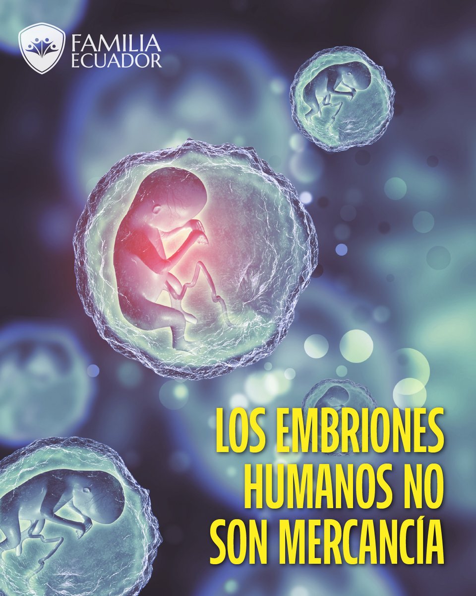 _FamiliaEcuador's tweet photo. 📢  ARCHIVEN EL PROYECTO DE LEY que vende embriones humanos.

El mensaje que dimos en la Asamblea Nacional es claro y la prensa lo está informando. 📰

Pero ahora necesitamos tu ayuda para difundirlo y multiplicarlo.

🔵 RTP
https://t.co/TL3WKQuCor

🔵 EL UNIVERSO
https://t.co/rkiiyGBb9l

🔵 KCH COMUNICACIÓN 
https://t.co/rwTQ9vEmiK