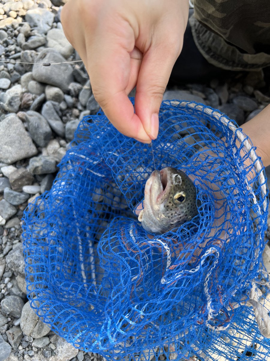 ogu1930's tweet photo. 久々に釣りに出かけました🙌

帰って塩焼きに🐟

定期的に自然に触れ合うことは
大切ですね☀️
シミジミ

byブルー
#ニジマス https://t.co/wQTlXmjdzi
