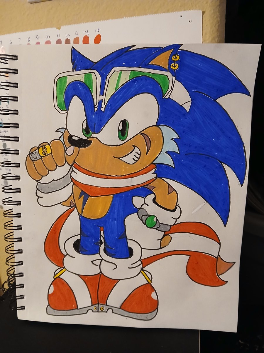 RM_21_2004's tweet photo. Hey Everyone! Here's some Sonic character art for you all to check out. Hope you like my designs! https://t.co/QRUuziQfBI