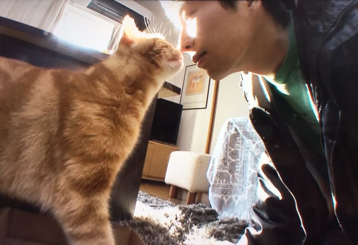 eraera404's tweet photo. #일연트친소 #일드트친소
일드 필리버스터 해주실 분 상시 모집 << 

고딩이고 타장르 언급이 있는 점 감안해주세요! https://t.co/wW0V1FrGNX