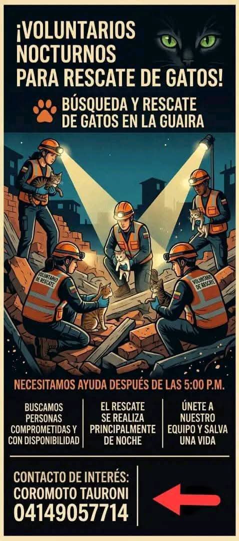 PerroUsuario's tweet photo. Se necesitan voluntarios RP @vprm24: Favor difundir 🙏🏻✨🙏🏻✨ https://t.co/J5NHTpnEj2
