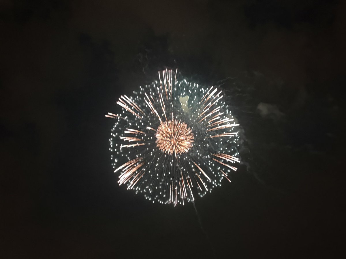 yumenon0301's tweet photo. この前花火見に行った🎇 https://t.co/wRzVh1obDP