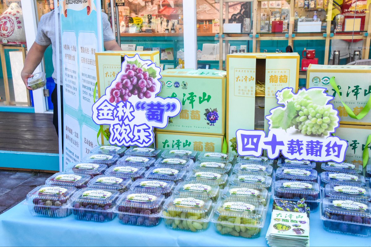 PingduAi3227's tweet photo. The sweet Dazeshan grapes have arrived at the 36th Qingdao International Beer Festival. Beer and berries—the perfect summer duo. Come find us at Golden Beach Beer City!#QingdaoBeerFestival #DazeshanGrapes #青岛国际啤酒节 #大泽山葡萄 #Summer2026 https://t.co/owqSyjezXE