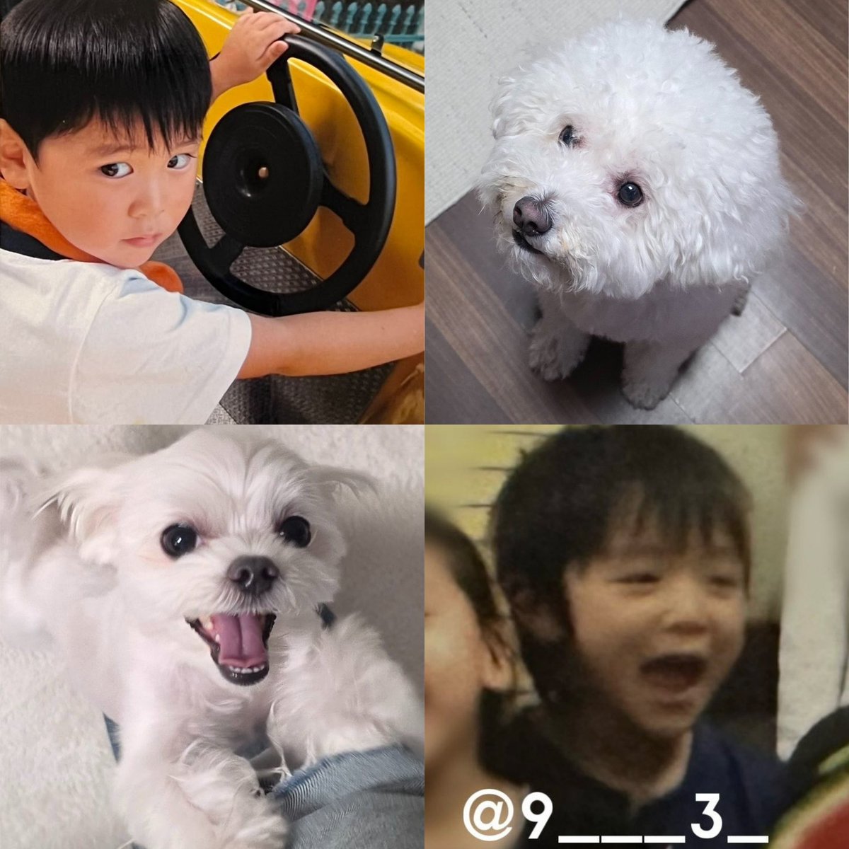 mabbiiahluen's tweet photo. . . .🐶✨💭 https://t.co/jfxfoC4Zqf