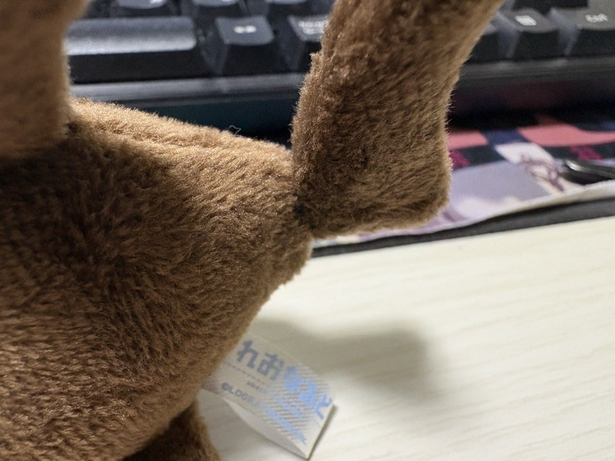 charin0096's tweet photo. しっぽの手術完了 https://t.co/to0VSi4rcw