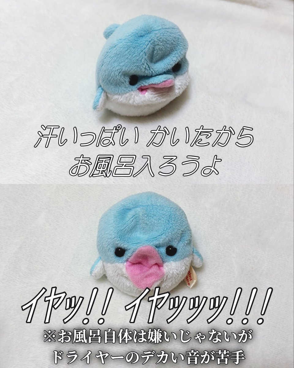 lady_chisaine's tweet photo. 😥🛀 https://t.co/SydfB9dLlE