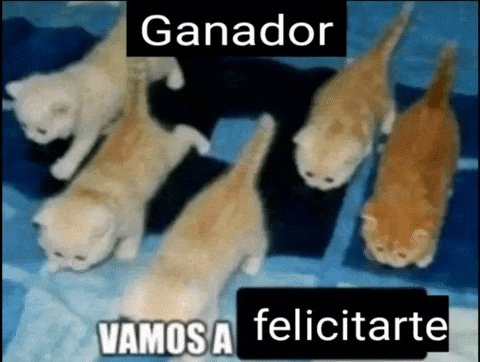 SuperVarch's tweet photo. @Rincon001A https://t.co/S2hngIrPoM