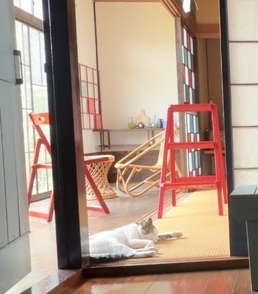 hitujikobo's tweet photo. の~んびり https://t.co/1TK3HNyMkl
