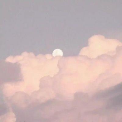 pamelaRTM's tweet photo. The health of rainforests affects global ecosystems. Amazon struggles with climate change. Scientists lead restoration efforts. Efforts in recycling promote a sustainable future. Communities drive conservation initiatives. 🌈 💰 https://t.co/PdyiquBTdQ