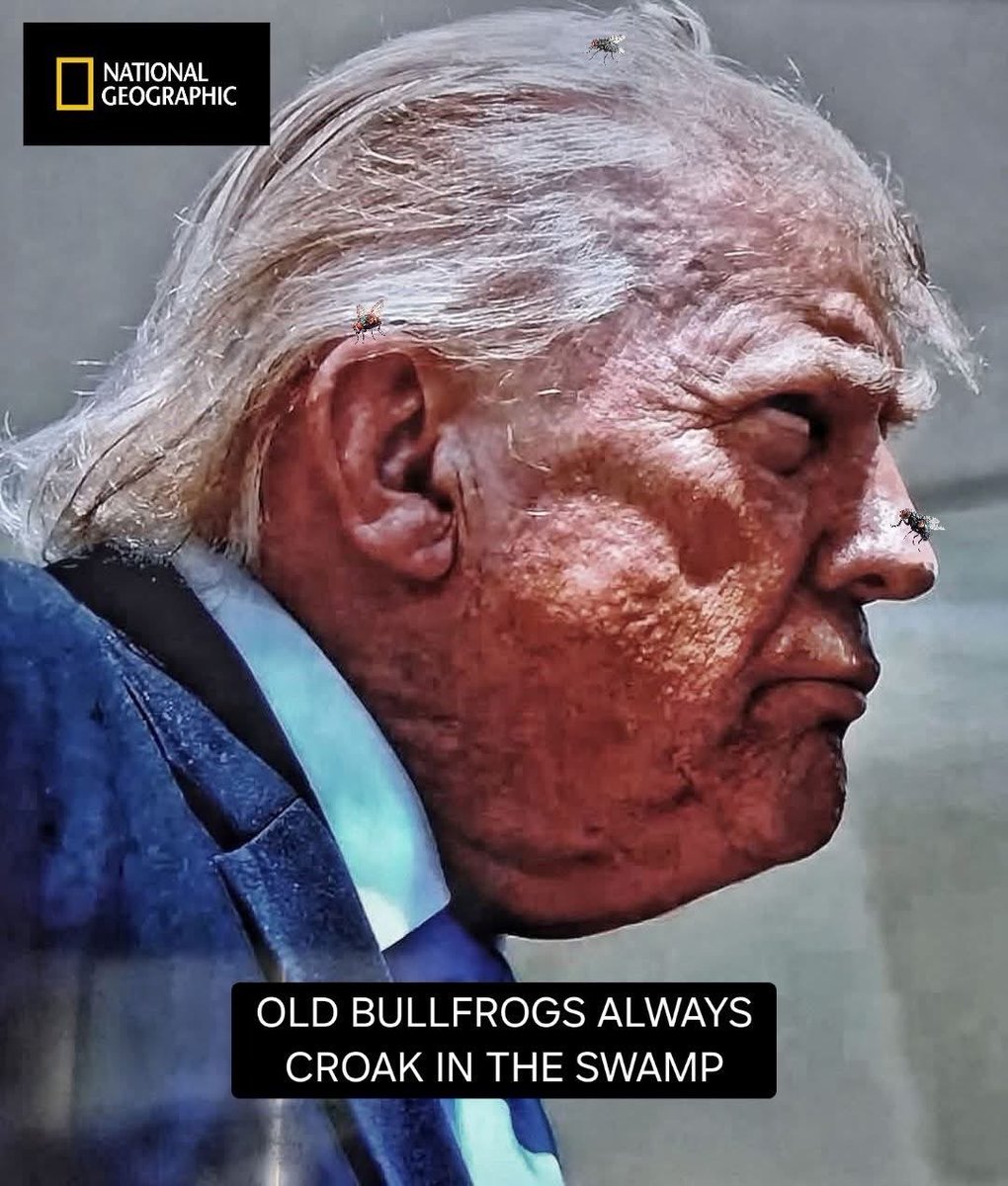 ShelleyDrake68's tweet photo. @TrumpDailyPosts Backwards to the swamp maybe https://t.co/jZoQRIhDN8