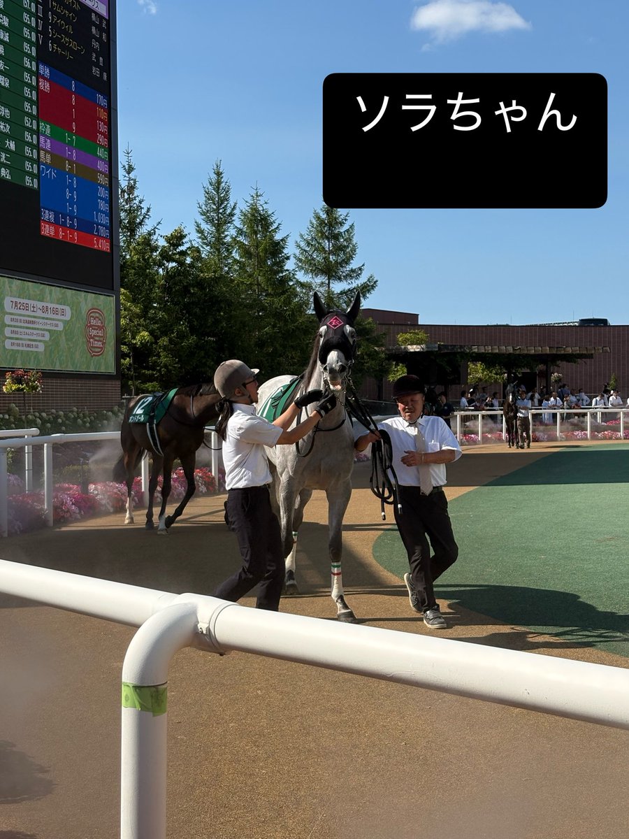 inHDniJBW491778's tweet photo. ソラちゃんファンサがすごい👏😂

#コガネノソラ
#クイーンステークス
#ゴールドシップ産駒
#ゴールドシップ https://t.co/JnCldeohua