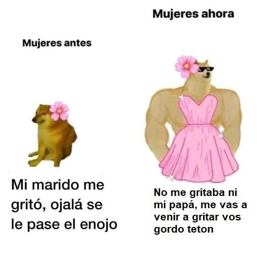 Vcatttttta1's tweet photo. @lilunoexiste Las mujeres argentinas: https://t.co/AbFut4Zxd7