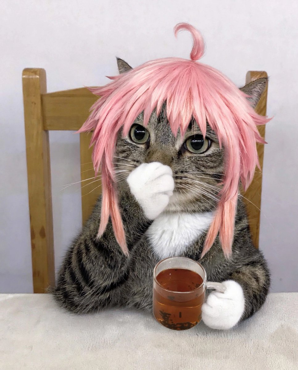 nakomyk's tweet photo. They found me out; I am this cat,
Now give me money.✨ https://t.co/q0YlUXGjUW