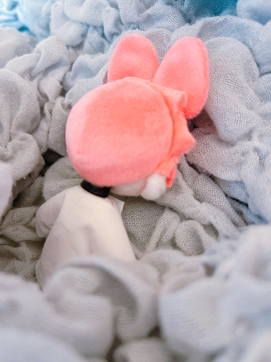 詩 ぷに&🧩🐭 tweet media