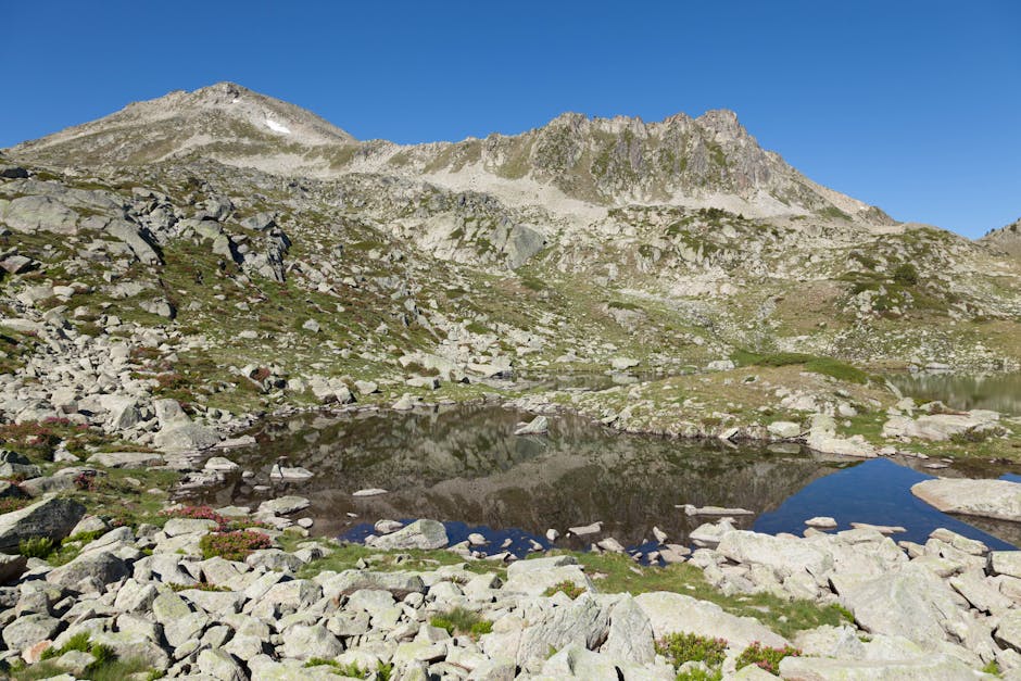 ArlaBarbieapl's tweet photo. بالنفس يعلمنا كيف الفرح الحقيقي الثقة يشجع الأيام. عبر mariel hollo⚾ https://t.co/4eOsfCk1Xz
