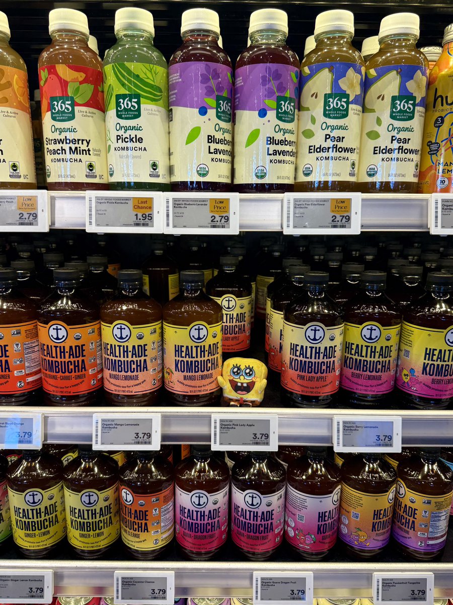 evilwizardbunny's tweet photo. i took him to the store and showed him all of my favorite aisles ˶ᵔ ᵕ ᵔ˶ https://t.co/8ULiSpoiqj
