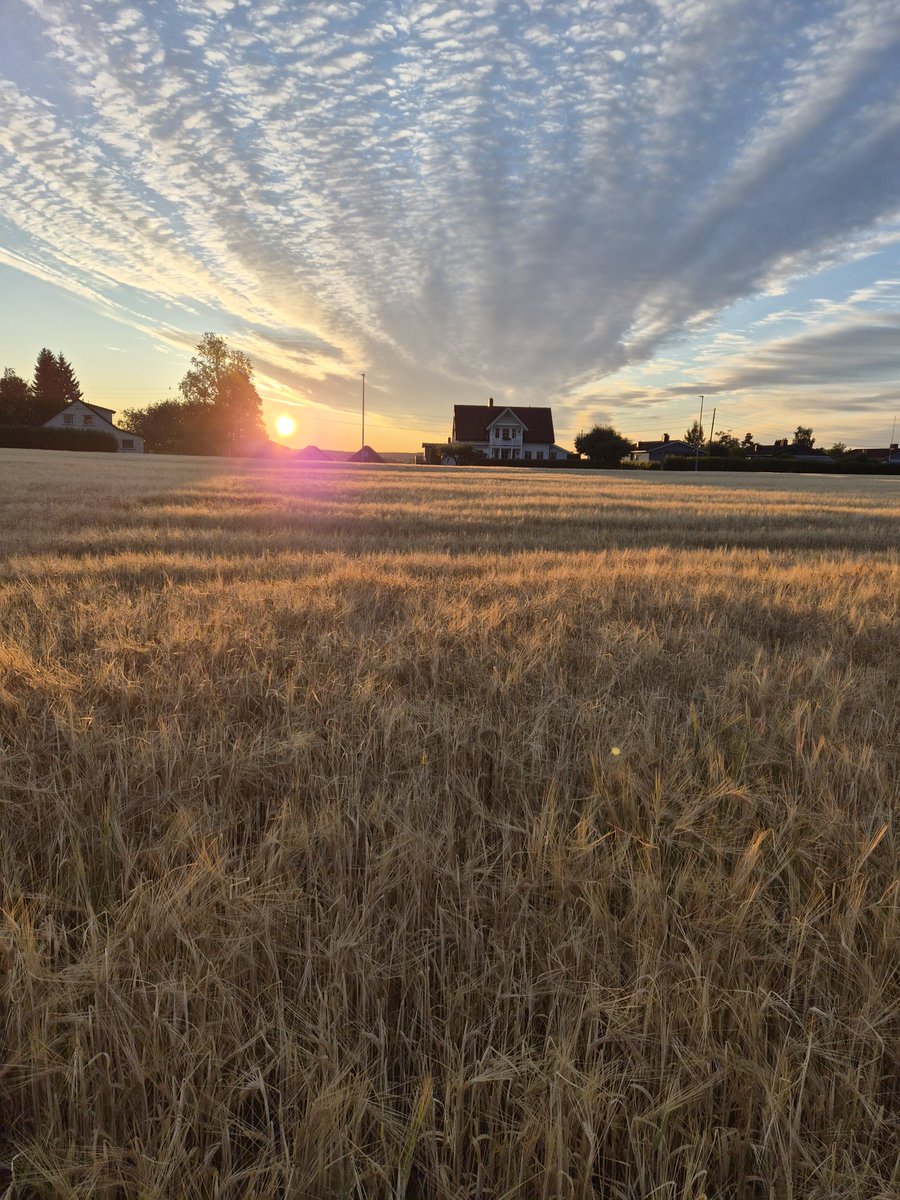 LunaSolvi's tweet photo. First day of going to work after 3 weeks vacation.

#beautifulmorning #sleepy #tooearly😴 https://t.co/oFAdJnnUsx