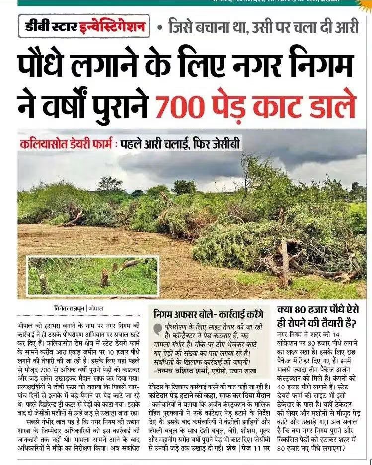 Dr_MonikaSingh_'s tweet photo. "पौधे लगाने के लिए 700 पेड़ काट डाले"

ये कारनामा भाजपा सरकार के कार्यकाल में ही संभव है। मप्र की राजधानी में ये सब करने वालों को अवॉर्ड मिलना चाहिए।
@ravish_journo https://t.co/MnhEh2EMFd
