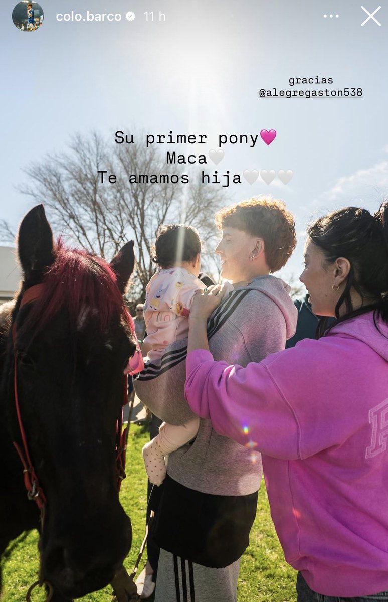 marianherrrera's tweet photo. Más bostero que comprarle un pony teñido de rosa a tu hija bebé. https://t.co/2Lgk240YHe