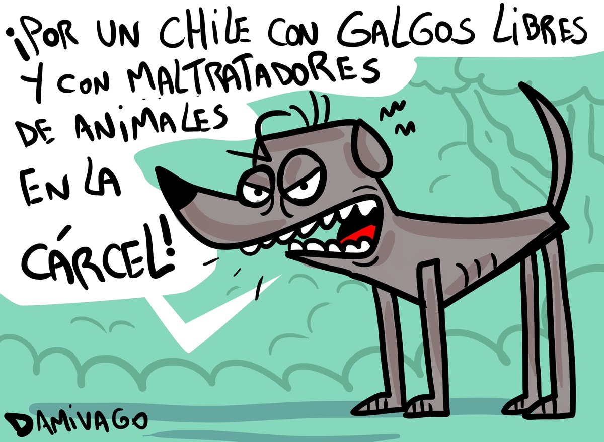 Damivago's tweet photo. Galgos libres https://t.co/tWQ1rOPpU8