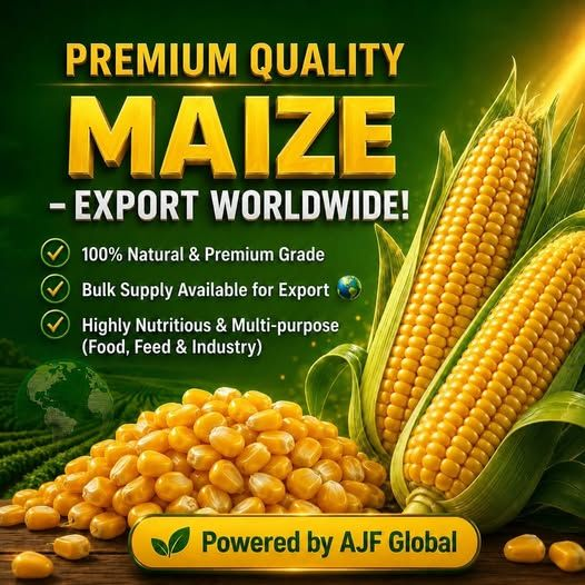 ajf_global's tweet photo. https://t.co/Zy05HmrEWq https://t.co/HdiZHtm5Zk