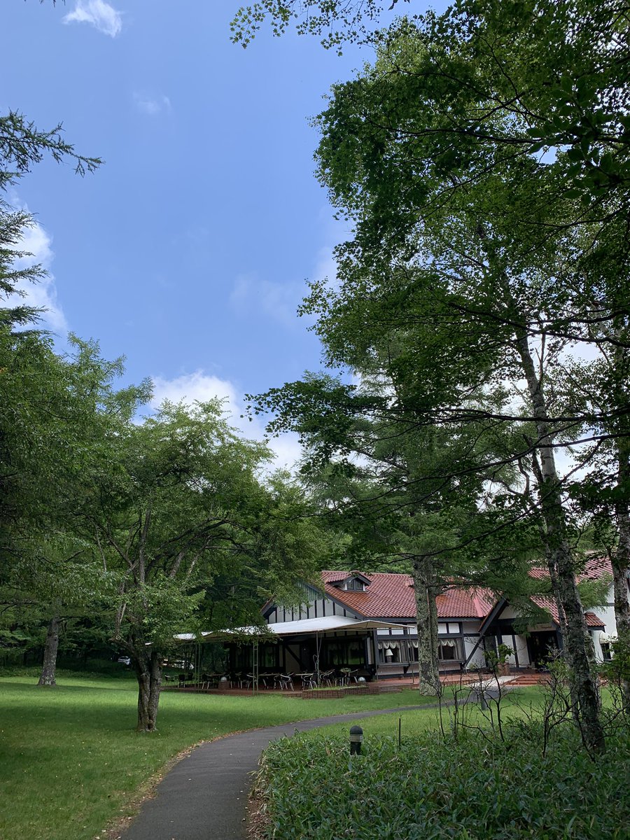 peachmouse2's tweet photo. 八ヶ岳　ふたたび…

只今、気温21℃ 
同じ信州でも別世界です🌲
小淵沢〜清里清泉寮〜山は小雨でした。

今回は音楽一人旅。充電します٩( ^_^ https://t.co/loF6El8XeR