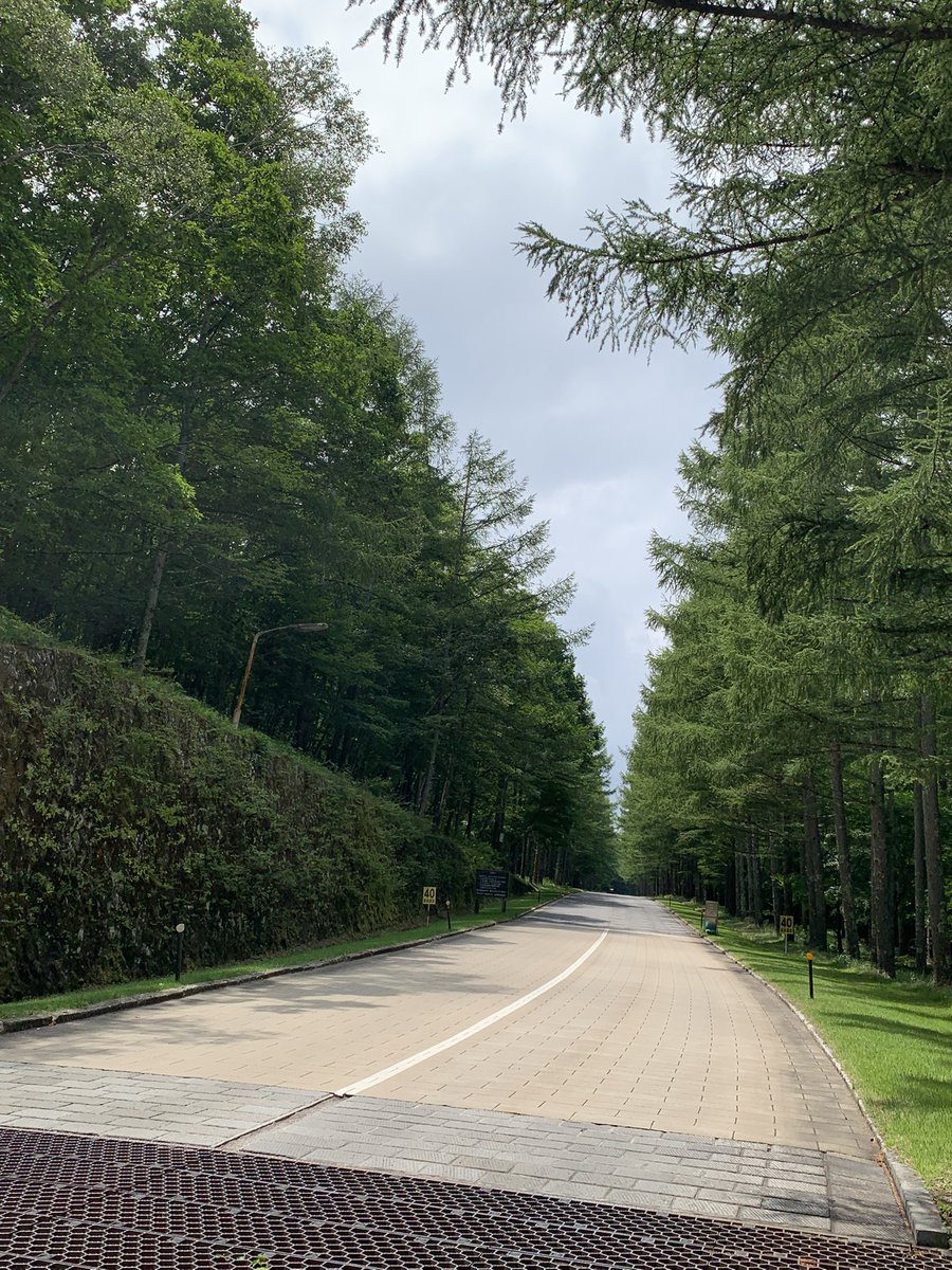 peachmouse2's tweet photo. 八ヶ岳　ふたたび…

只今、気温21℃ 
同じ信州でも別世界です🌲
小淵沢〜清里清泉寮〜山は小雨でした。

今回は音楽一人旅。充電します٩( ^_^ https://t.co/loF6El8XeR