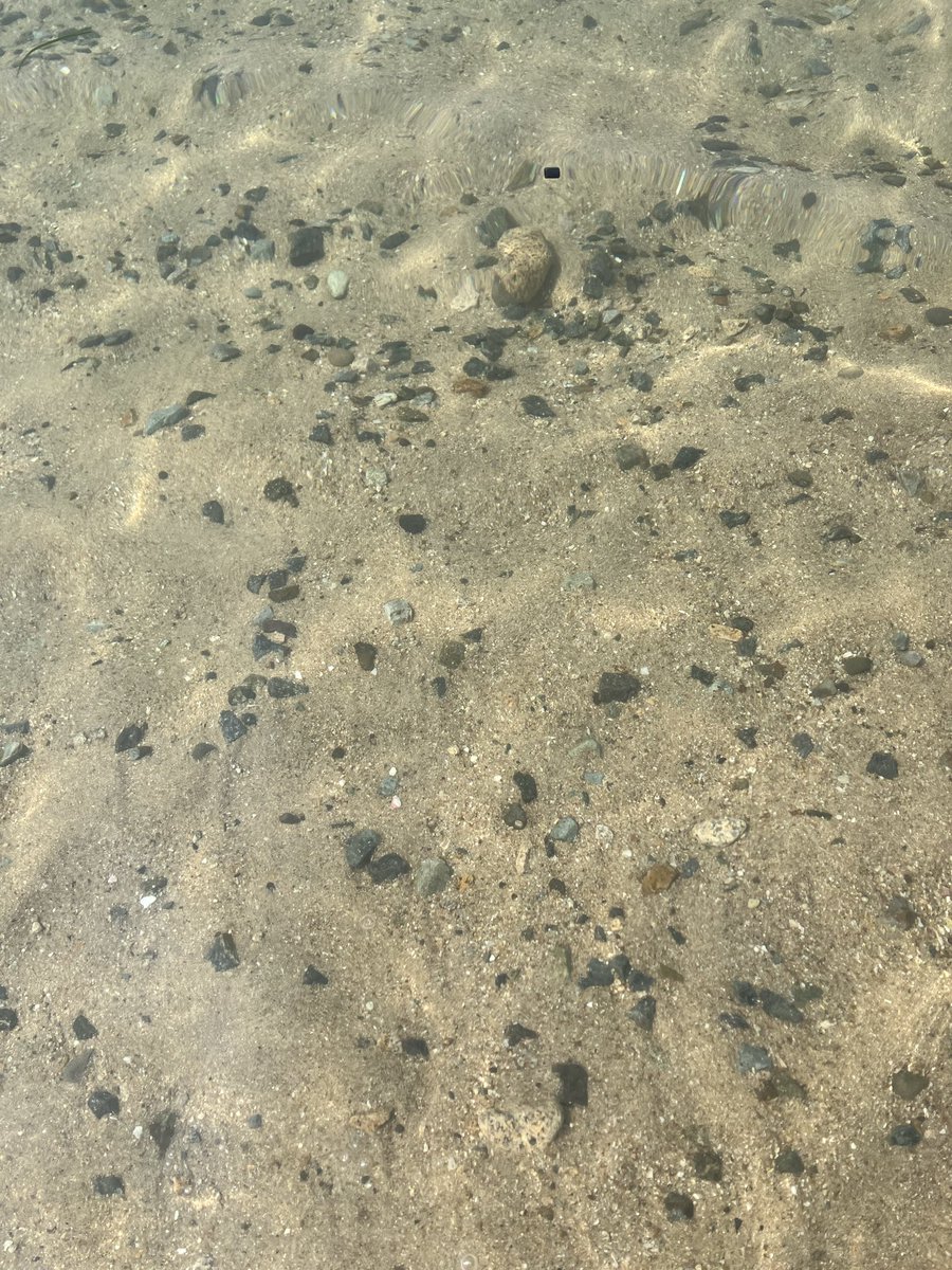wellsannd's tweet photo. 今日も海へ。
シュノーケリング楽しいけど、波で酔う… https://t.co/9fqFynLk3O