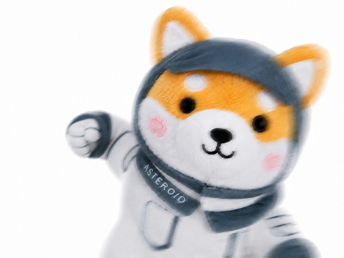 Asteroidbsccto's tweet photo. 🤛 🐶 https://t.co/abFmqzF6Aw
