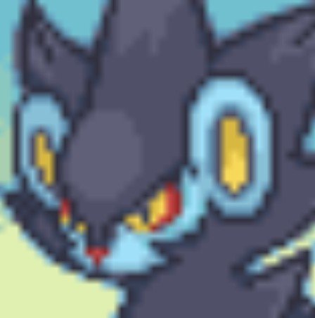 cacaamarilla3's tweet photo. Yo y mi pokemon https://t.co/wkBCM0kUey