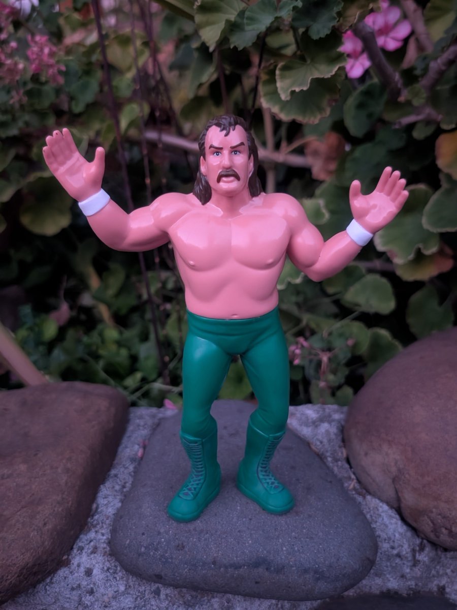 80s Wrestling Fan tweet media
