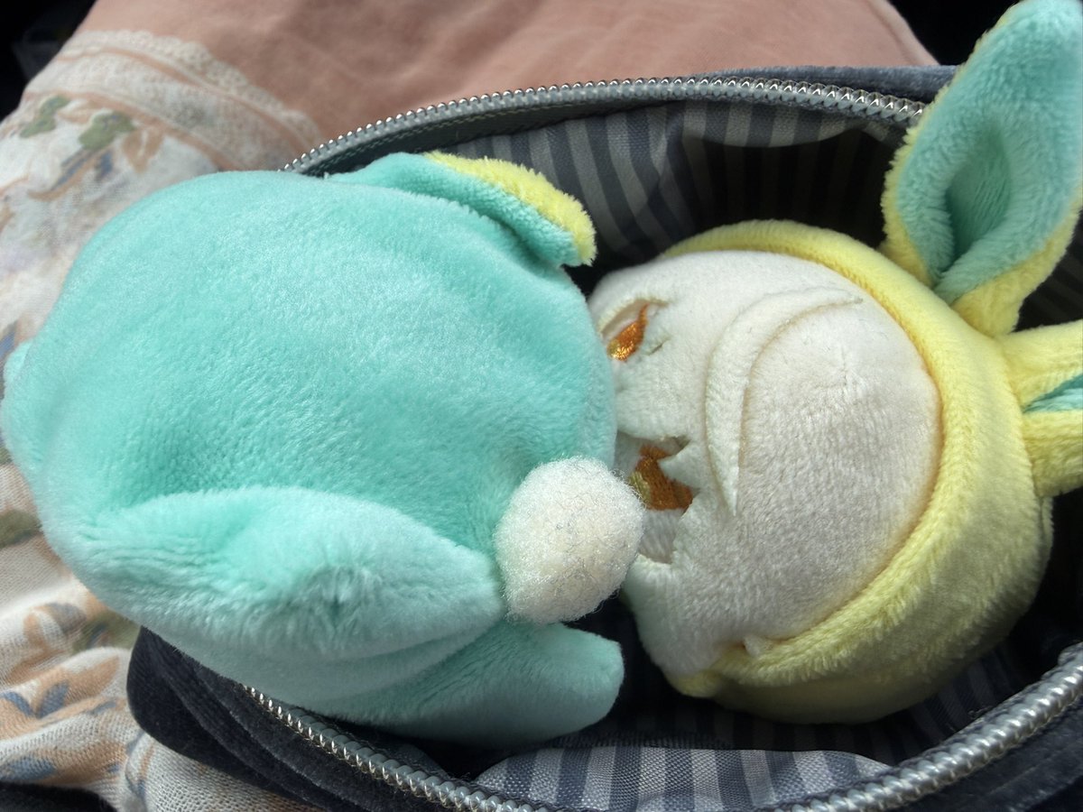 tomoe8523's tweet photo. 今週のひげちゃん①
🦁先週はねえ、ちょっと調子に乗って失敗しちゃったから、今週は慎重にいくよ♪はーい、おとうと♫よいしょ、っと！ぽーちから出るところが転がりやすいんだよね♬ https://t.co/ZxlkDlgCvI