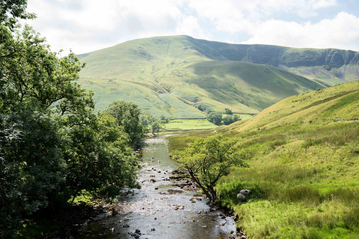 yorkshire_dales's tweet photo. The River Rawthey is fed by streams draining the northern Howgill Fells, including water from Cautley Spout, one of England's highest waterfalls. The Rawthey flows into the into the River Lune just down the road from here, at Sedbergh.

📸 Cal Thompson | #YorkshireDales https://t.co/Jj0GiScxpR