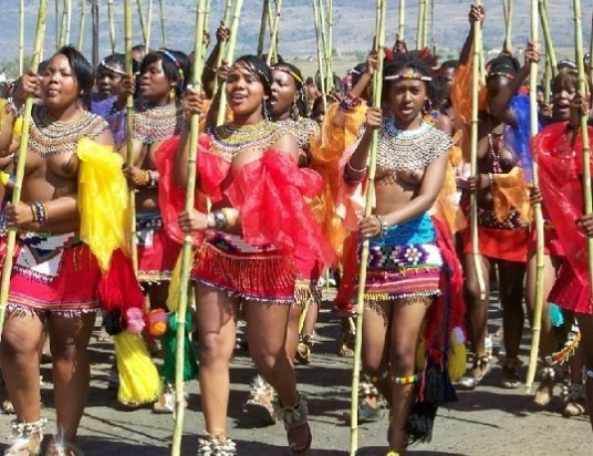 zulu_vibez's tweet photo. Every September, thousands of Zulu maidens (bare-breasted in beaded skirts) gather in KwaZulu-Natal’s royal palace for the Umkhosi woMhlanga – the Reed Dance – a centuries-old festival of purity and heritage. #afri https://t.co/38C2CyFY5F