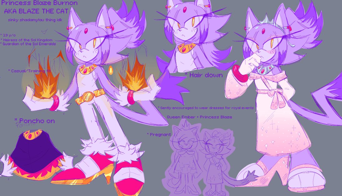 _royalrosepetal's tweet photo. she's pretty idk bout the royal kimono thing tho
#blazethecat #referencesheet #redesign https://t.co/xnVVauxRaz