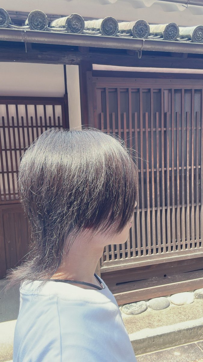 raicty's tweet photo. 暑すぎて死ぬけど
だいぶ伸びてきた https://t.co/i3n76PenpD