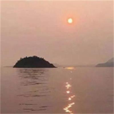 21Mr6A's tweet photo. Have a thesis. Write it down. Review it every quarter. This simple habit separates serious participants from gamblers. 🌺 https://t.co/09a0ZgyxFz