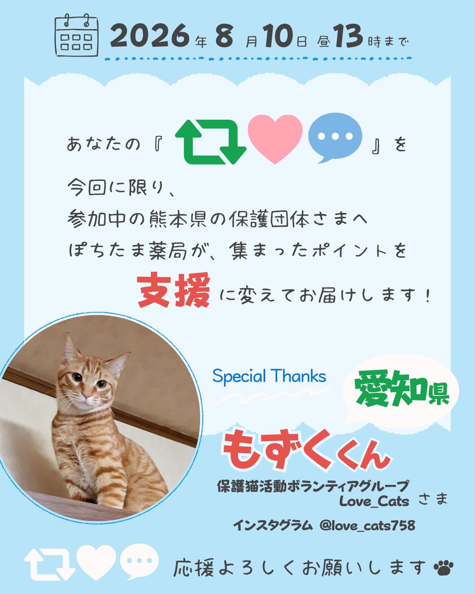 pochi10tama's tweet photo. 【緊急特別回】第23回 #1シェア1ライフ

熊本で発生した地震を受け、今回は集まったポイントのすべてを《熊本で活動する当プログラム加入団体さま》へお届けします。
通常とは異なる分配となりますが、今もっとも支援を必要としている現場へ届けるための判断です。ご理解と温かい応援をお願いいたします🙇🏻‍♀️
※来月からは通常の分配に戻ります。

締切：8/10(月) 13:00
✉️コメントいただいた方にはお礼メッセージが届きます
