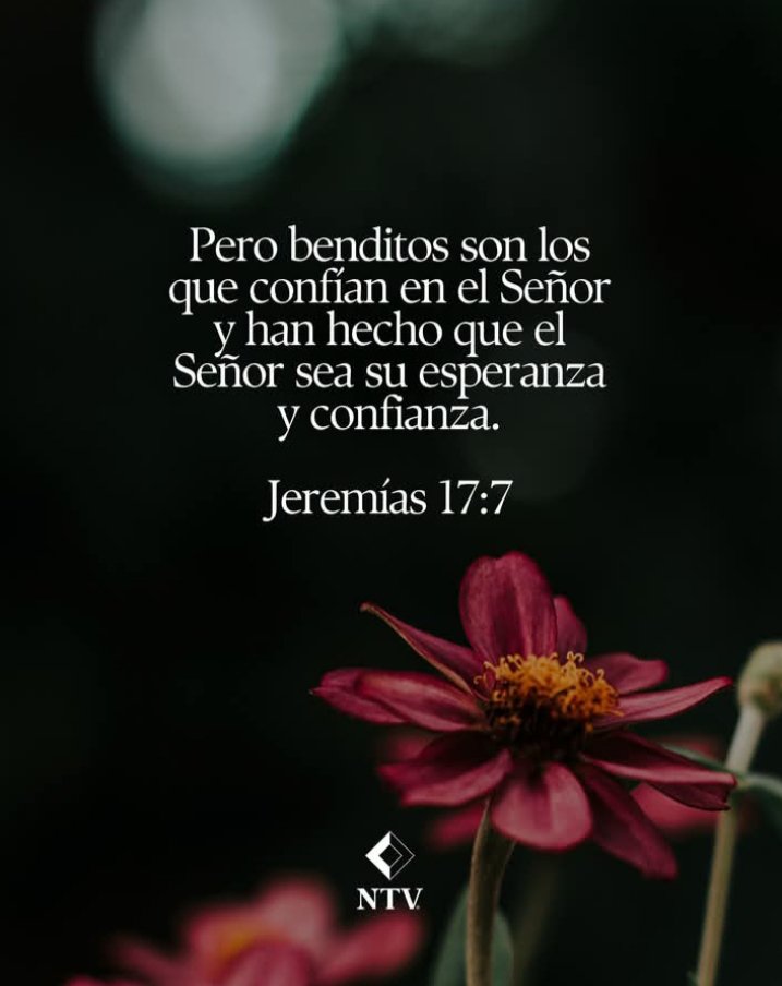 Saidasalas1's tweet photo. Confiad en Jehová perpetuamente, porque en Jehová el Señor está la fortaleza de los siglos. Jehová, tú nos darás paz, porque también hiciste en nosotros todas nuestras obras.
Isaías 26;4,12. https://t.co/HmwoPRRnuY