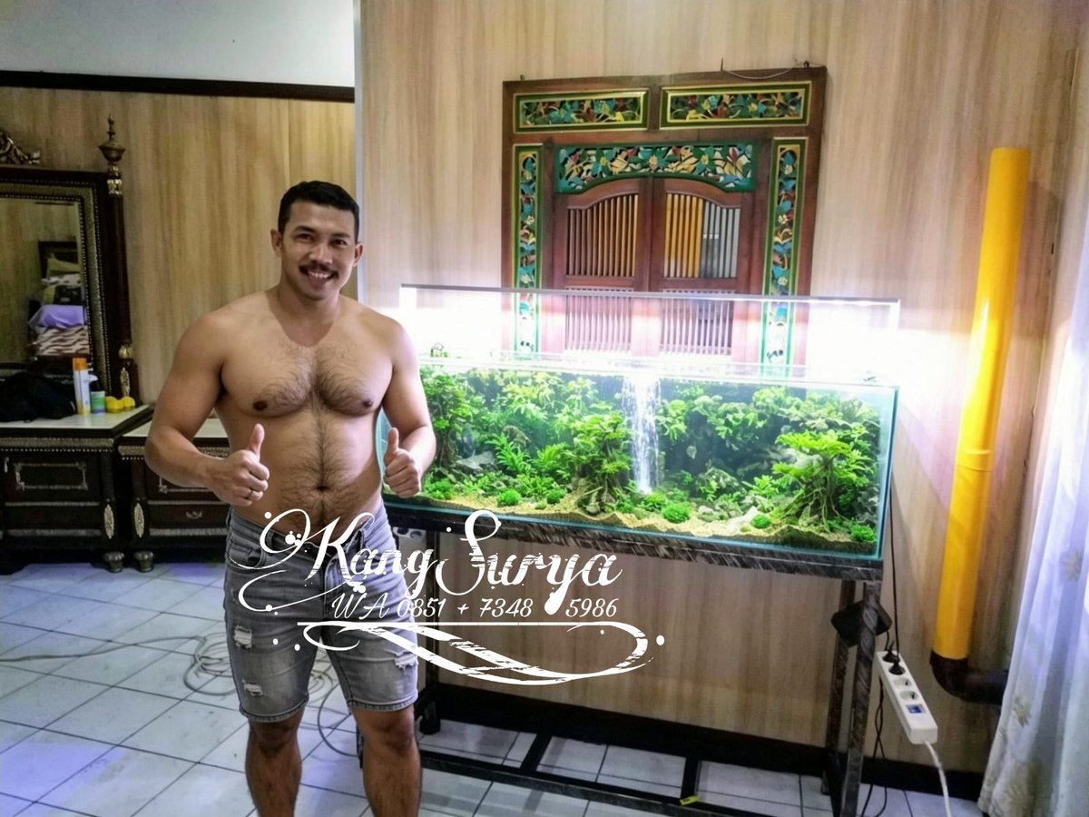 kangsurya01's tweet photo. Siapa yang bisa menolak keindahan alam yang dikemas begitu indah? 🪴💦 Aquascape ini sudah jadi kawan terbaik untuk melepas penat seharian. Kalau kalian suka gaya seperti apa, ceritakan di bawah ya! 😊
#aquascape #aquascapeindonesia #hobiindonesia #senimanindonesia #alamindalamkaca #tanamanair #duniaair #hiasanrumah #karyakita #inspirasirumah #aquascapehobby #aquascapeindonesiaku #kedamaianalam #trendingindonesia #fypindonesia
