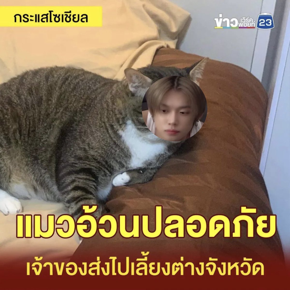 shallweyeonmeow's tweet photo. รีรันข่าวเก่า https://t.co/hBj2GVvRMD
