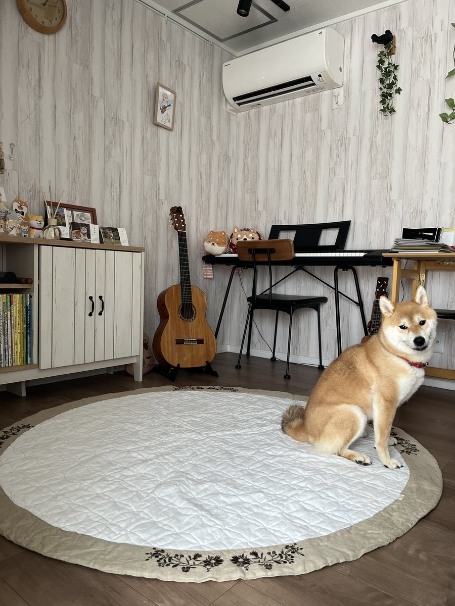 失敗ショットも可愛い♡